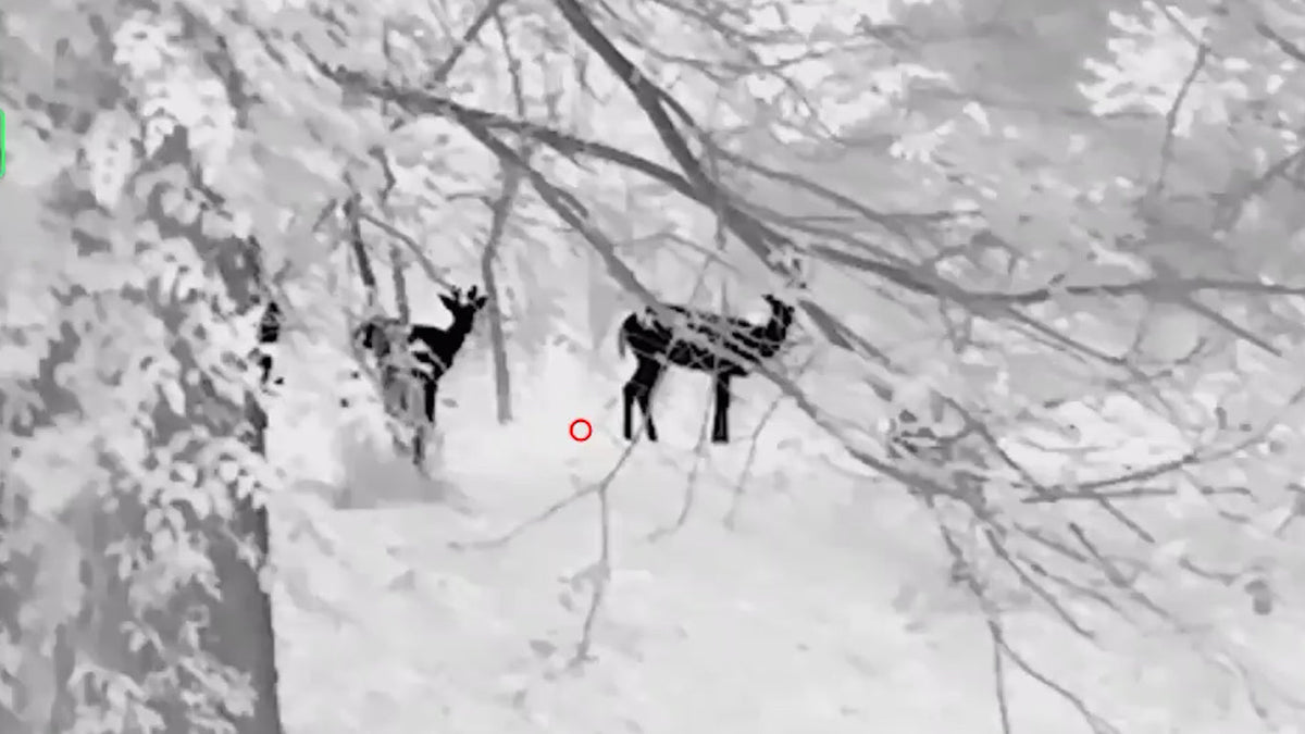 Why Base Magnification Matters More Than Digital Zoom