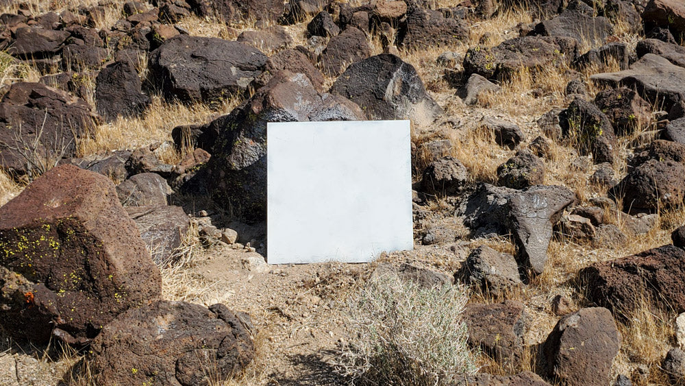 Field scene — visible light